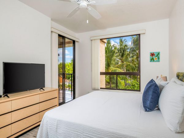 Kohala Coast Home 1000893