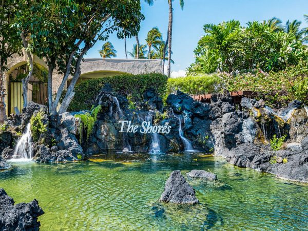 Kohala Coast Home 1000894