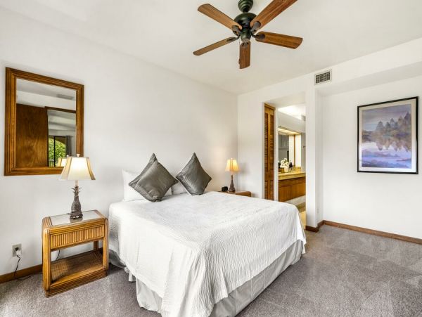 Kohala Coast Home 1000894