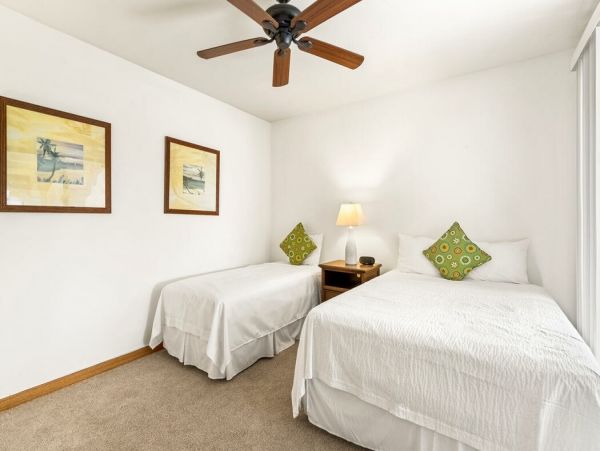 Kohala Coast Home 1000894
