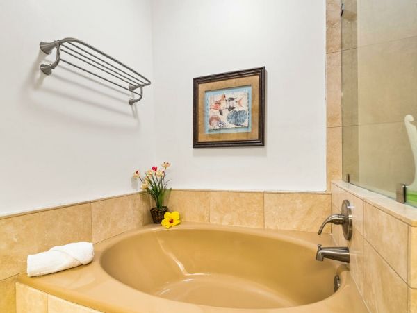 Kohala Coast Home 1000894