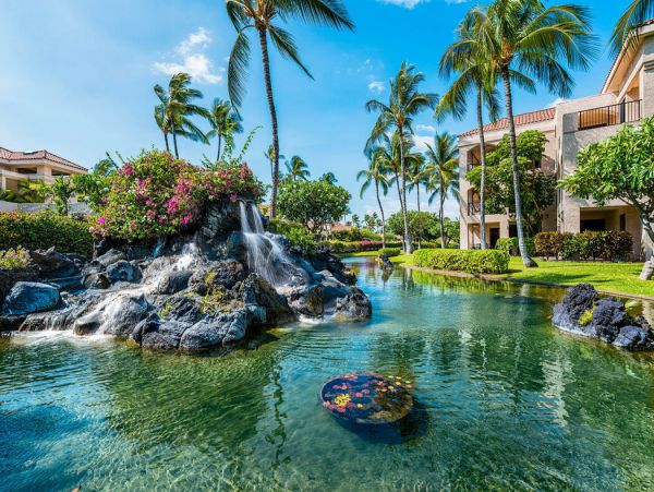 Kohala Coast Home 1000894
