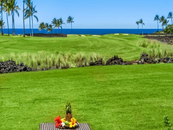 Kohala Coast Home 1000895