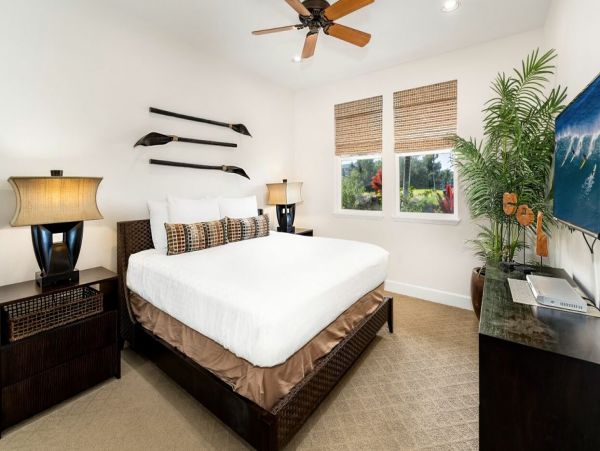 Kohala Coast Home 1000895