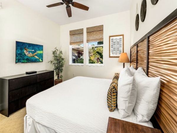Kohala Coast Home 1000895