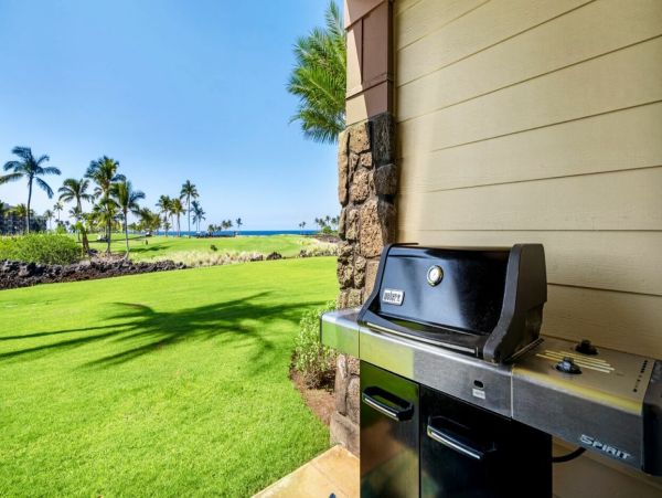Kohala Coast Home 1000895