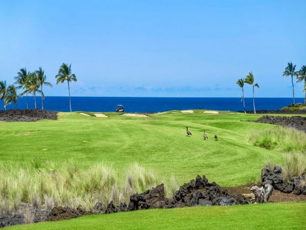 Kohala Coast Home 1000895