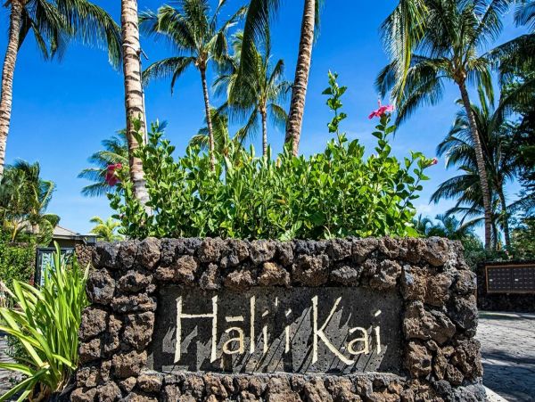 Kohala Coast Home 1000895