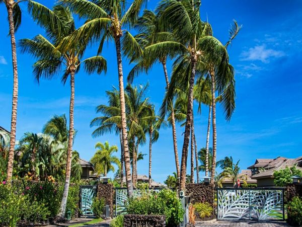 Kohala Coast Home 1000895