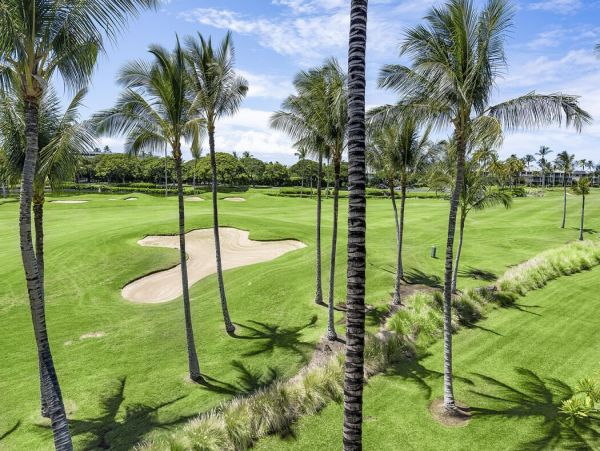 Kohala Coast Home 1000896