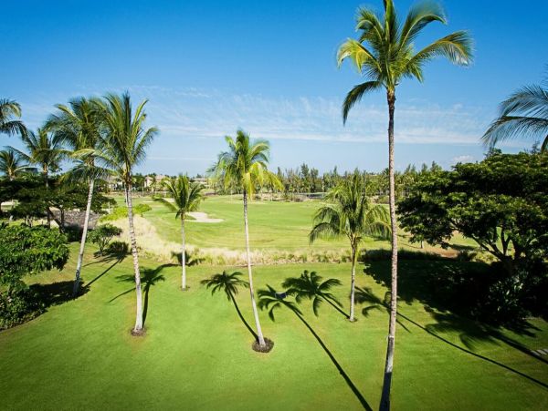 Kohala Coast Home 1000898