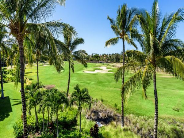 Kohala Coast Home 1000898