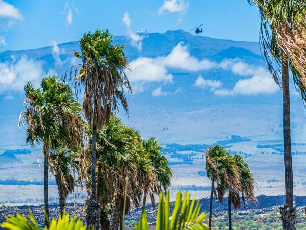 Kohala Coast Home 1000898