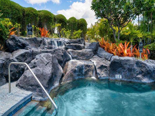 Kohala Coast Home 1000898