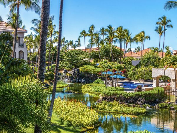 Kohala Coast Home 1000899