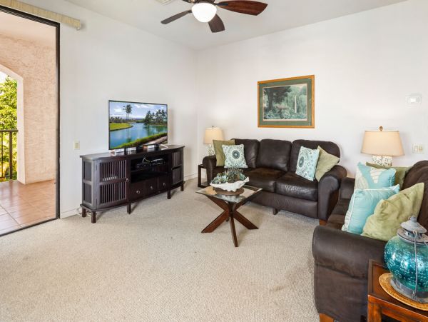 Kohala Coast Home 1000899