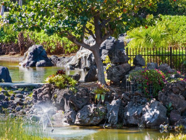 Kohala Coast Home 1000899