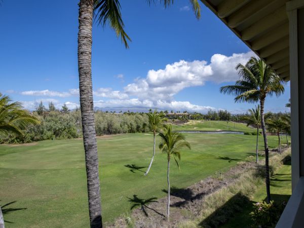 Kohala Coast Home 1000901