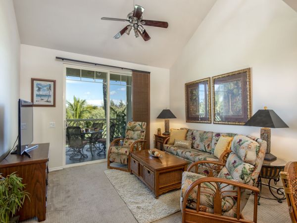 Kohala Coast Home 1000901