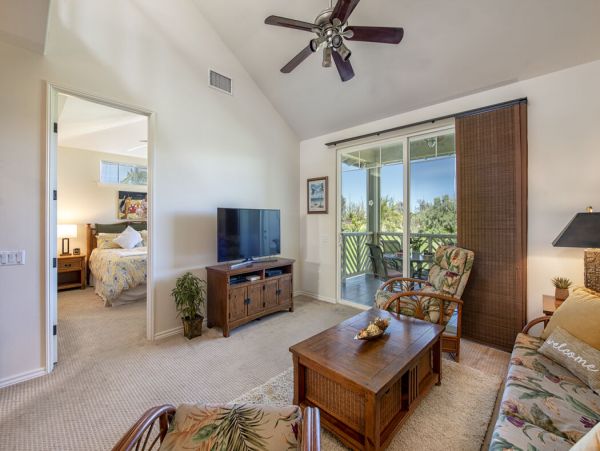 Kohala Coast Home 1000901
