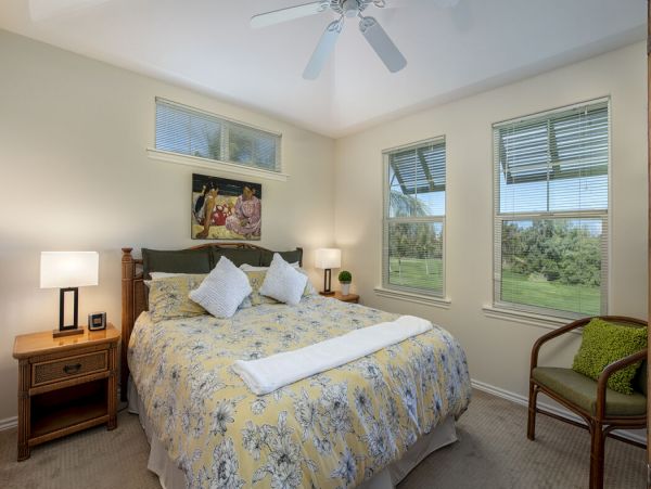 Kohala Coast Home 1000901
