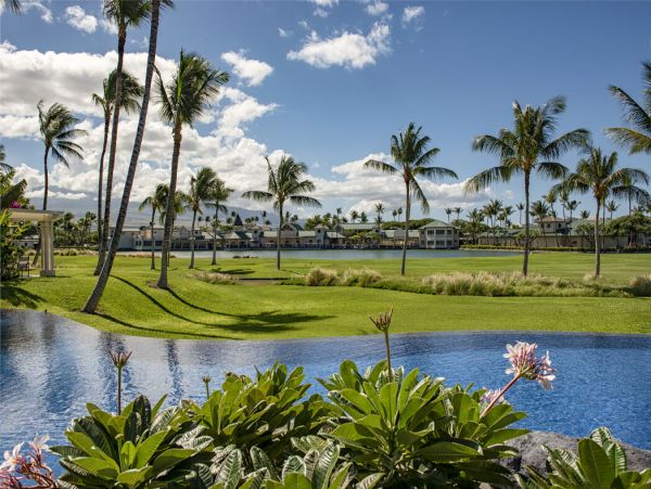 Kohala Coast Home 1000901