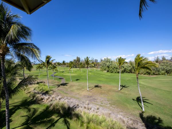 Kohala Coast Home 1000901