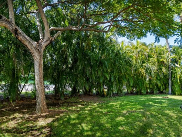 Kohala Coast Home 1000903