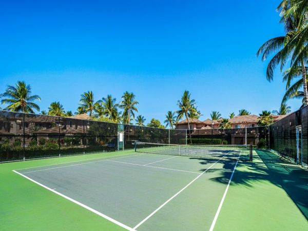 Kohala Coast Home 1000903