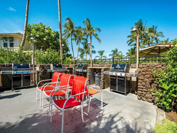 Kohala Coast Home 1000904