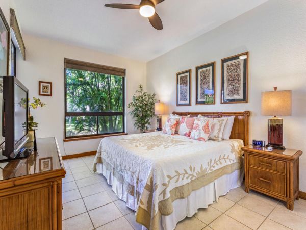 Kohala Coast Home 1000905