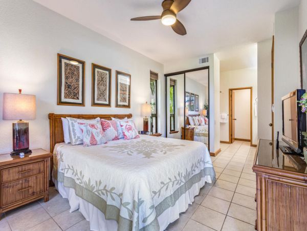 Kohala Coast Home 1000905