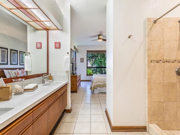 Kohala Coast Home 1000905