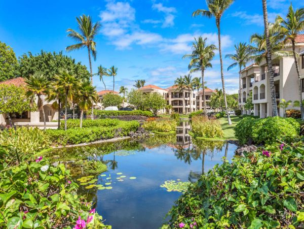 Kohala Coast Home 1000905