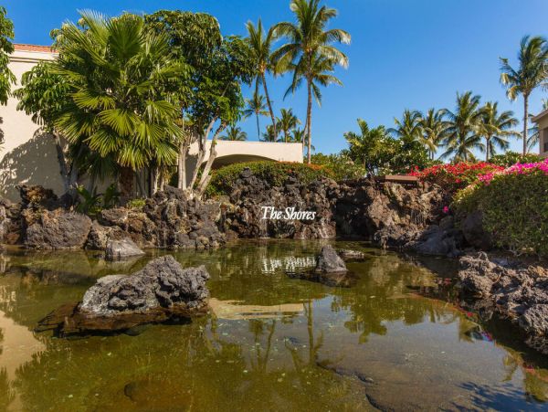 Kohala Coast Home 1000905