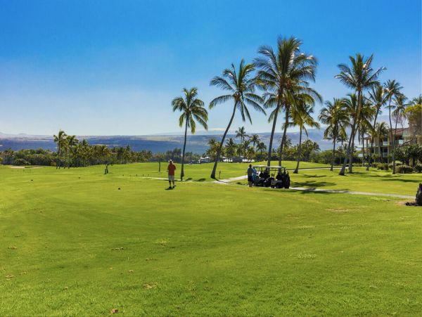 Kohala Coast Home 1000905