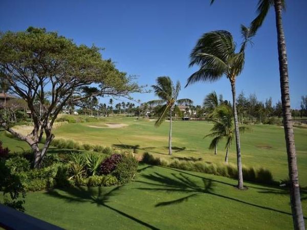 Kohala Coast Home 1000906