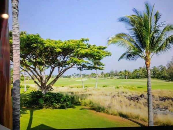 Kohala Coast Home 1000906