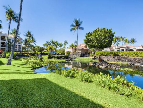 Kohala Coast Home 1000907