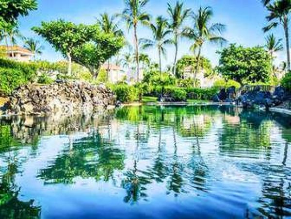 Kohala Coast Home 1000907
