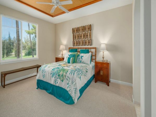 Kohala Coast Home 1000908