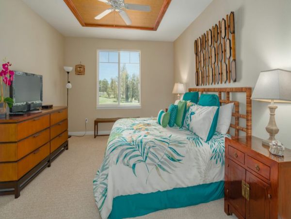 Kohala Coast Home 1000908