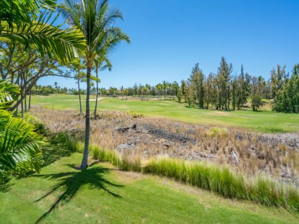 Kohala Coast Home 1000908