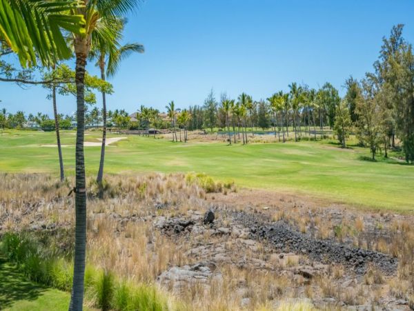 Kohala Coast Home 1000908