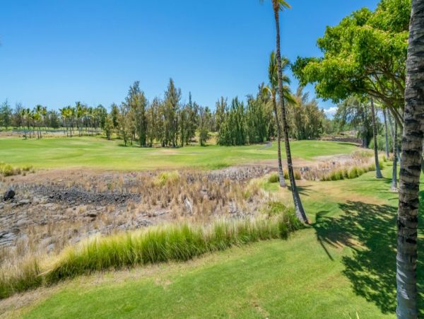 Kohala Coast Home 1000908
