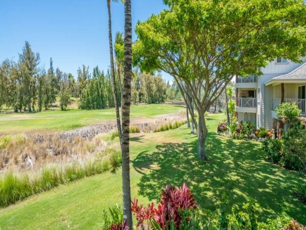 Kohala Coast Home 1000908