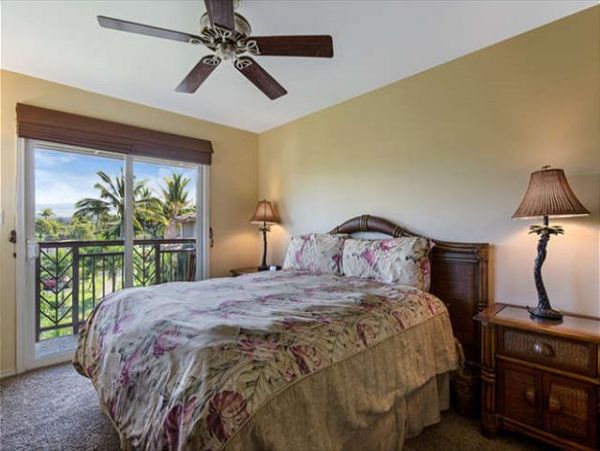 Kohala Coast Home 1000909