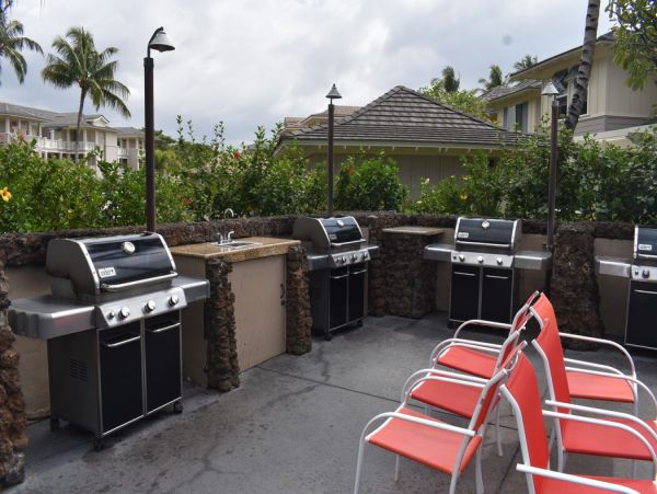Kohala Coast Home 1000910