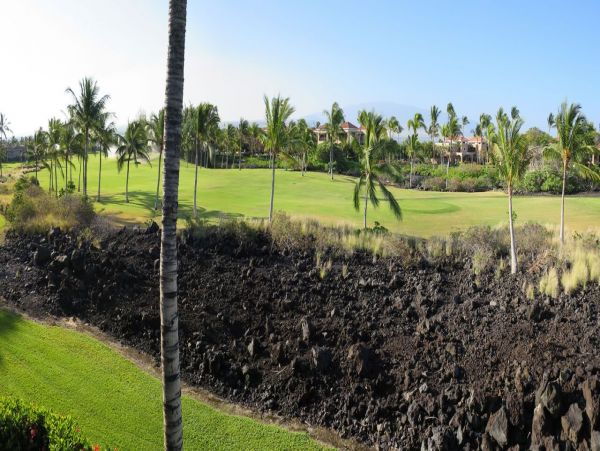 Kohala Coast Home 1000911