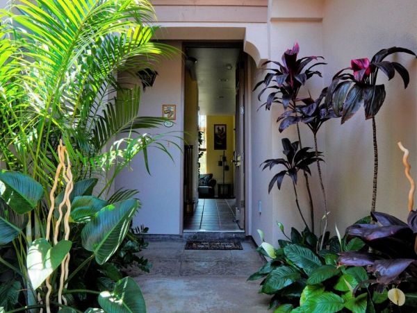 Kohala Coast Home 1000911